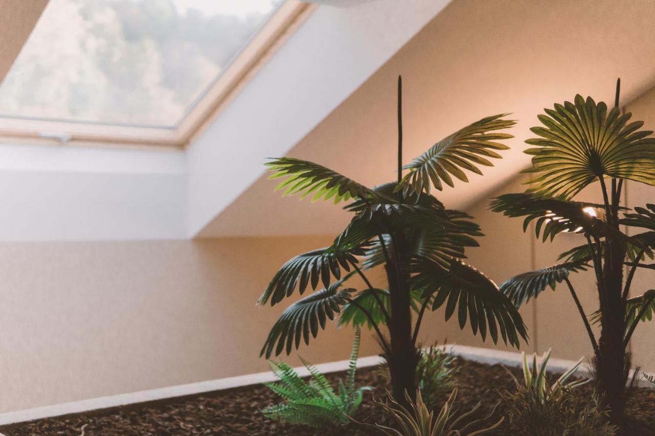 Hotel Candor San Salvador Eksteriør bilde
